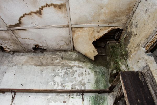 Water Damage Service in Webster
