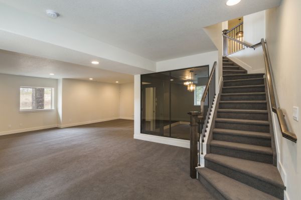 Basement Restoration Service in Webster