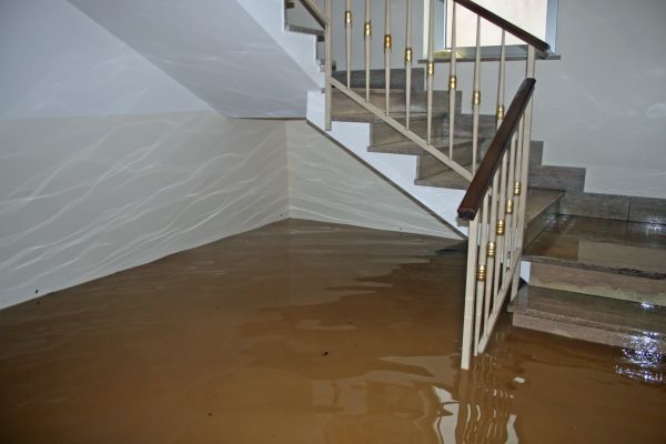 Storm Damage Restoration in Webster
