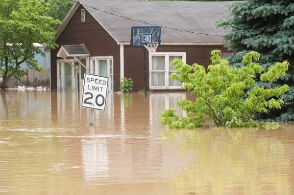 Storm Restoration Service in Webster