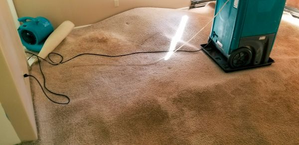 Flood Damage Cleanup in Webster