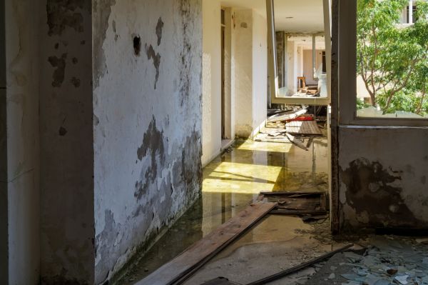 Water Removal Service in Webster
