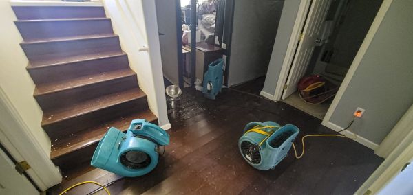 Water Damage Remediation in Webster