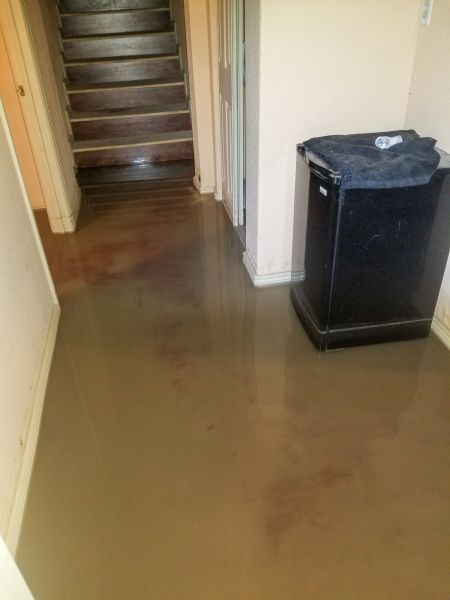 Emergency Water Removal in Webster