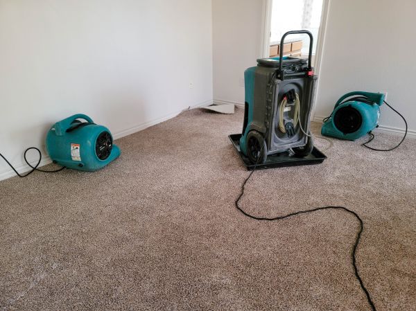 Water Damage Repair in Webster
