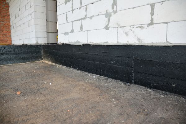 Basement Water Damage Service in Webster