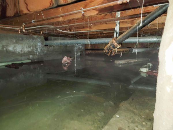 Crawl Space Drying in Webster