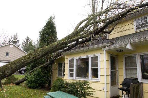 Hurricane Damage Repair in Webster